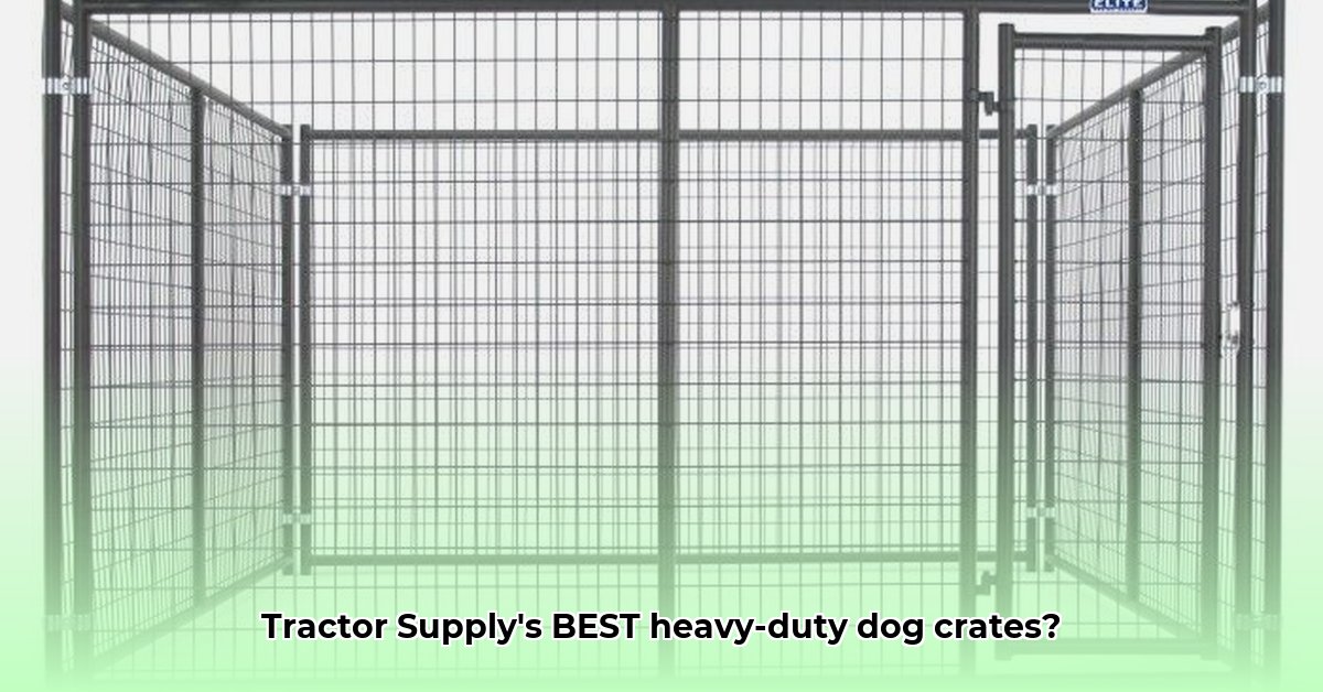 heavy-duty-dog-crate-tractor-supply